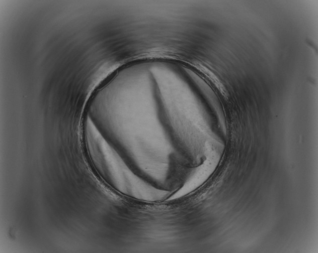 X0000091561285200709071119