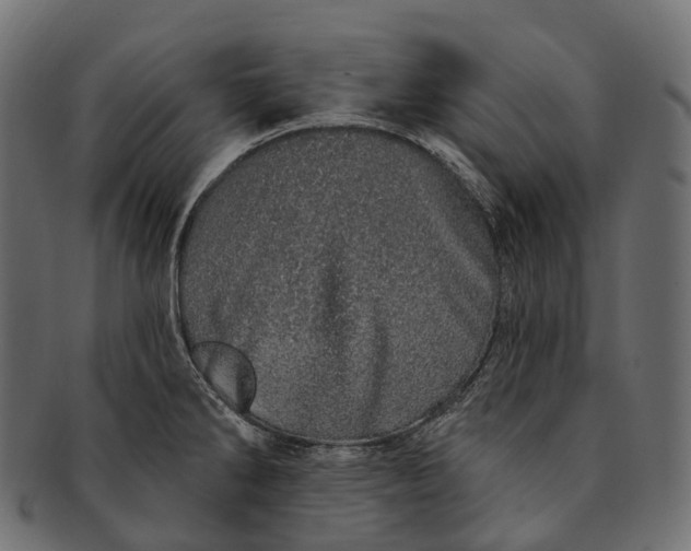 X0000091561286200709071119