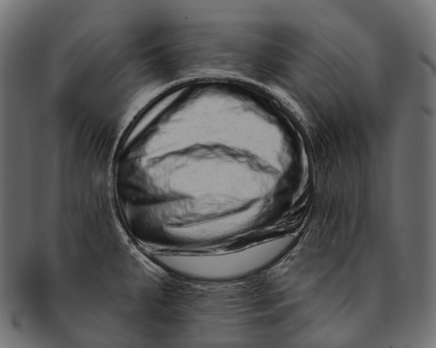 X0000091561287200709071119