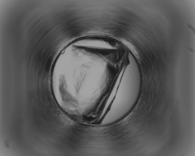 X0000091561288200709071118