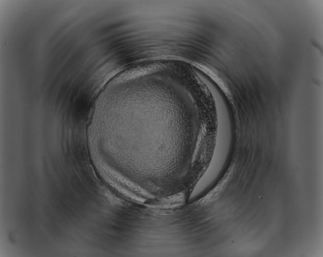 X0000091561289200709071118