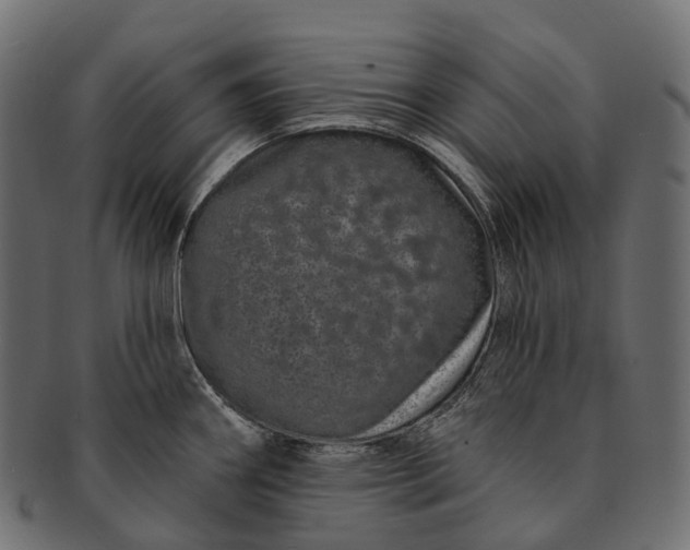 X0000091561290200709071118