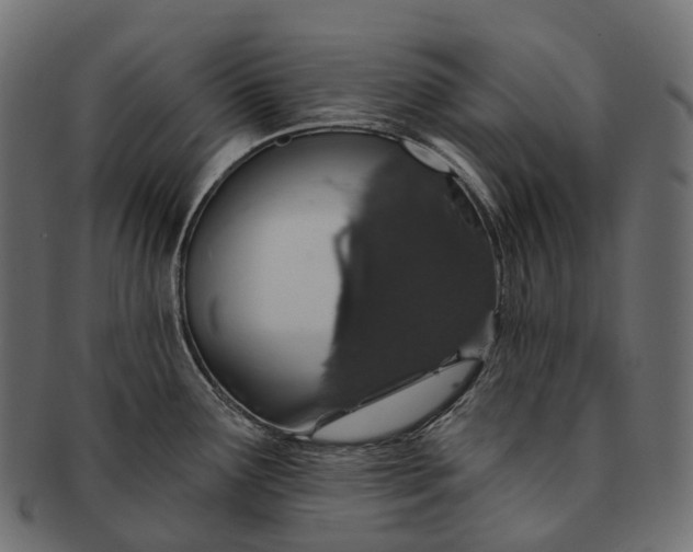 X0000091561291200709071118