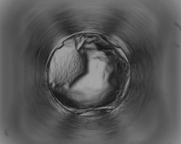 X0000091561292200709071118