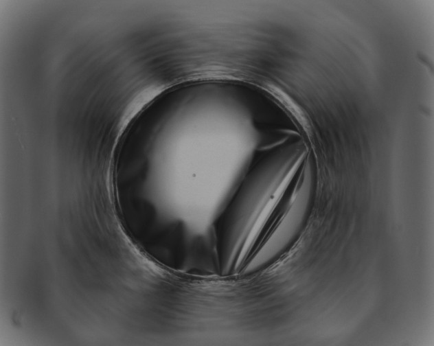 X0000091561293200709071118