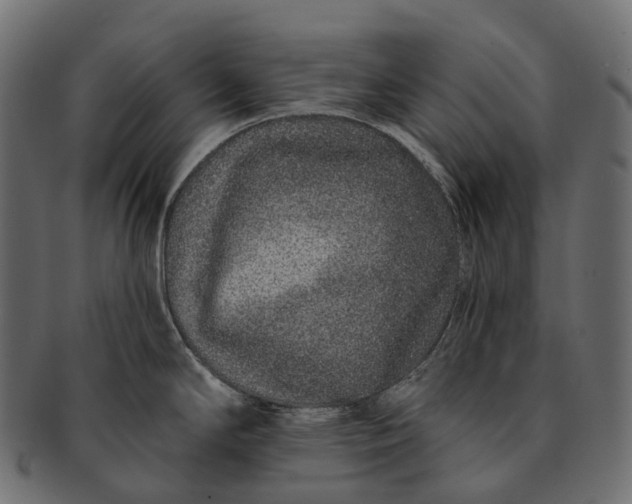 X0000091561294200709071118