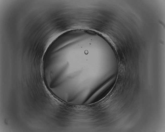 X0000091561295200709071118