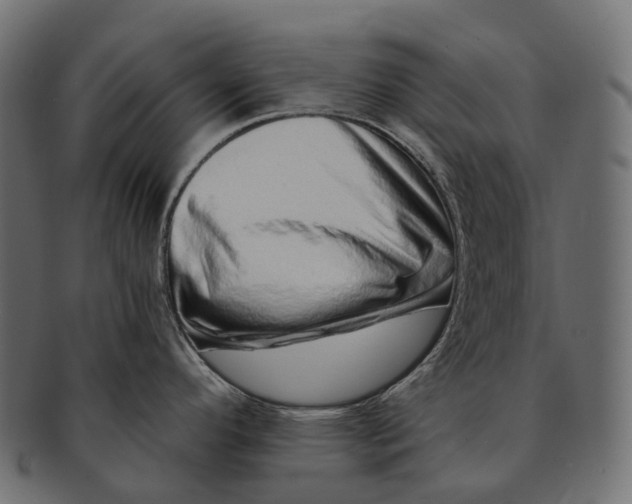 X0000091561296200709071118