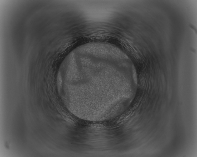 X0000091561297200709071118