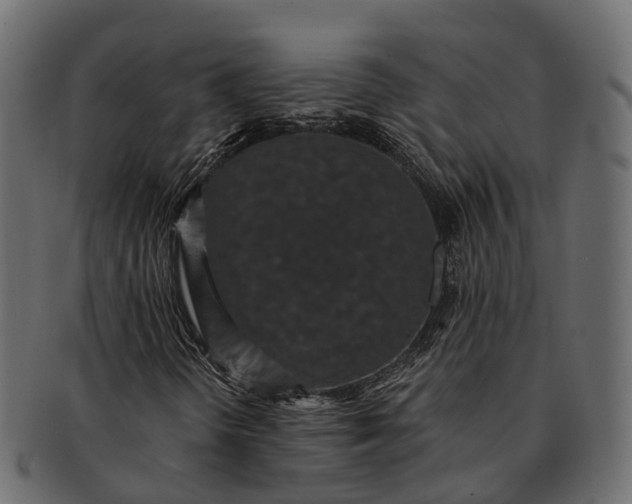 X0000091561298200709071118