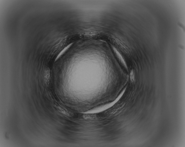 X0000091561299200709071118