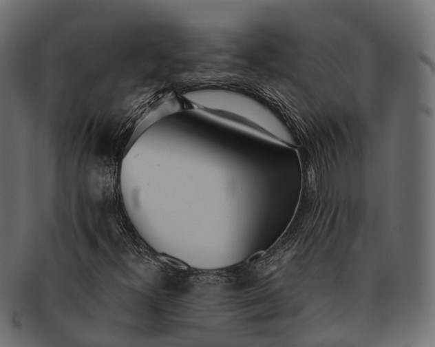 X0000091561300200709071118