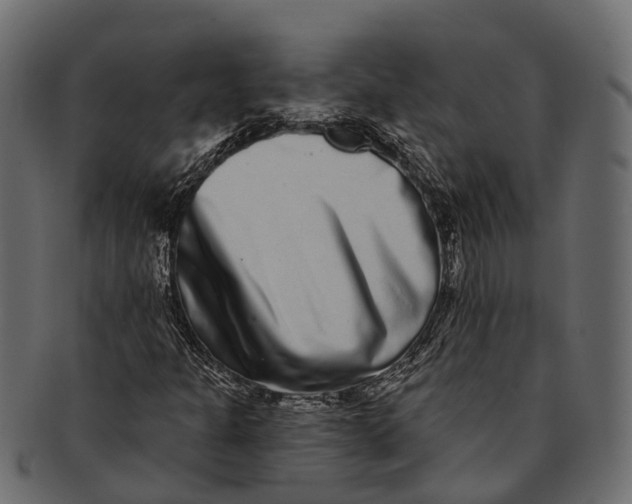 X0000091561301200709071118