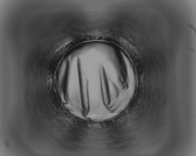 X0000091561302200709071118