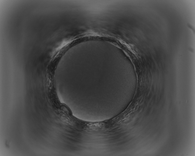 X0000091561303200709071118