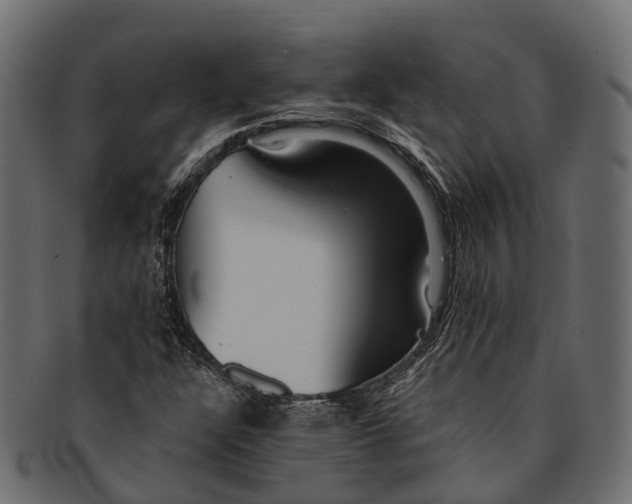 X0000091561304200709071118