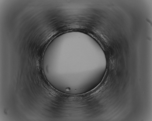 X0000091561305200709071118