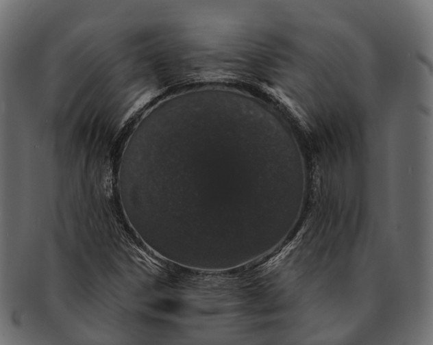 X0000091561306200709071118