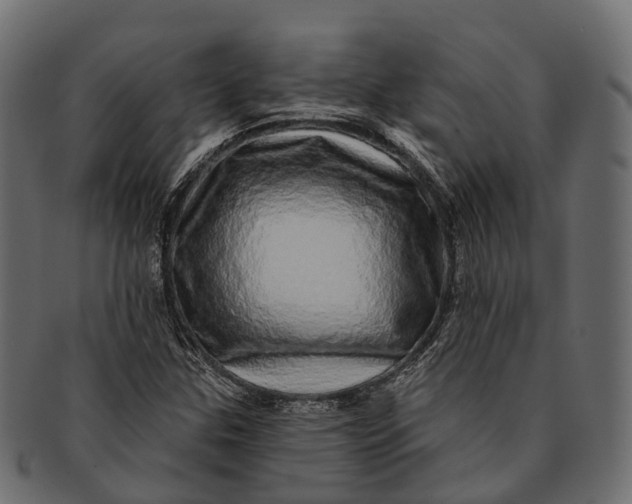 X0000091561307200709071118