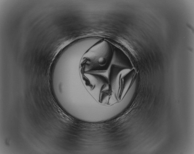 X0000091561308200709071118