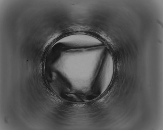 X0000091561309200709071118