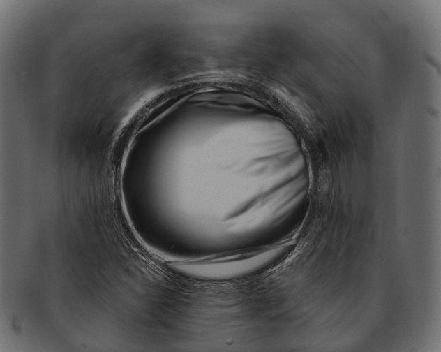 X0000091561310200709071118