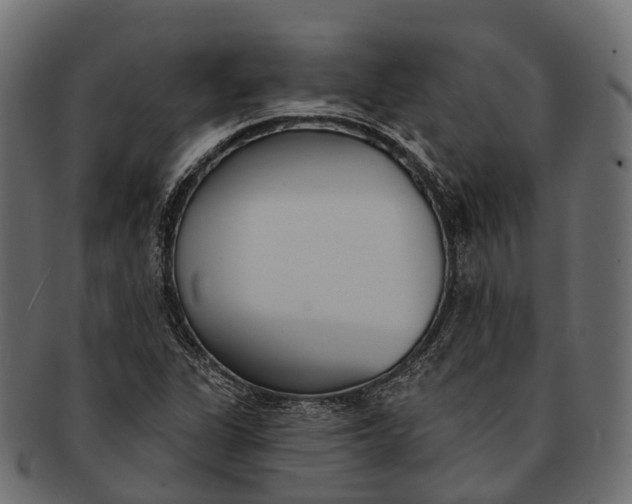 X0000091561311200709071118