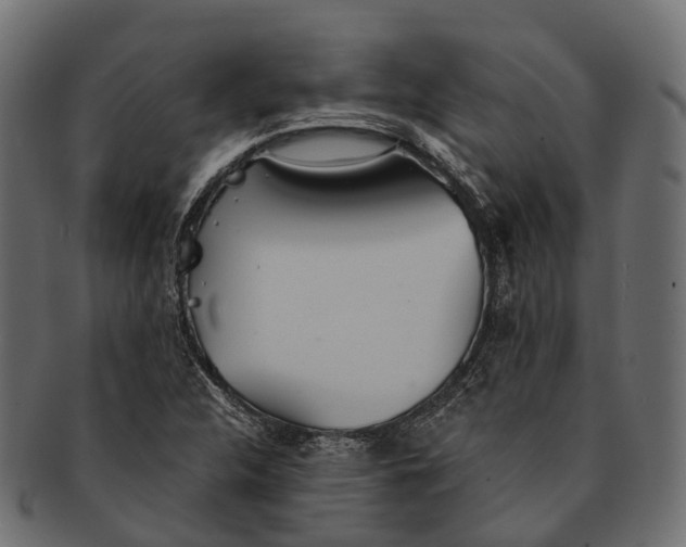 X0000091561312200709071118