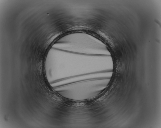 X0000091561313200709071118