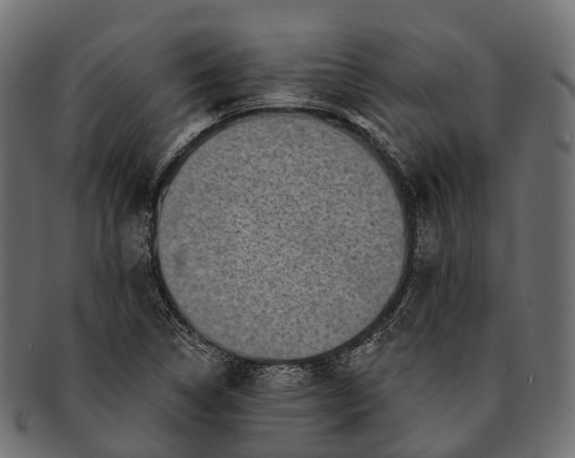 X0000091561314200709071118