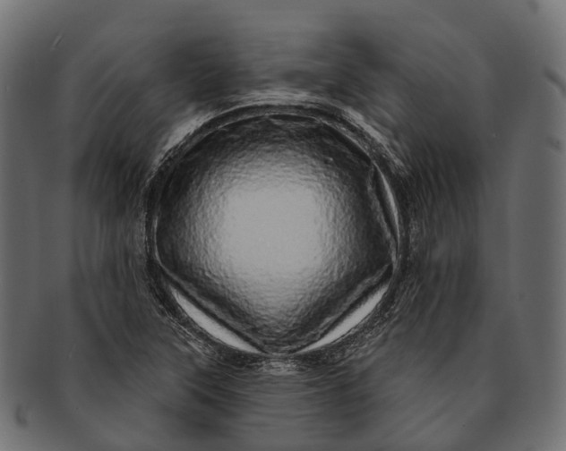 X0000091561315200709071118