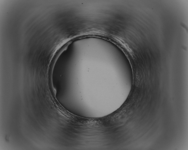 X0000091561316200709071118