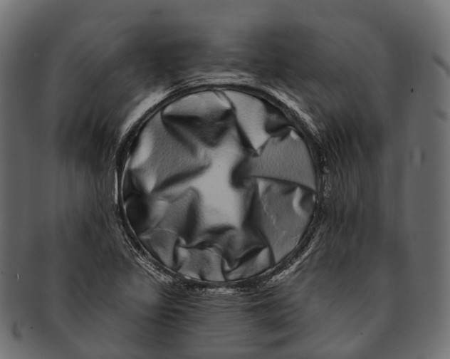 X0000091561317200709071118