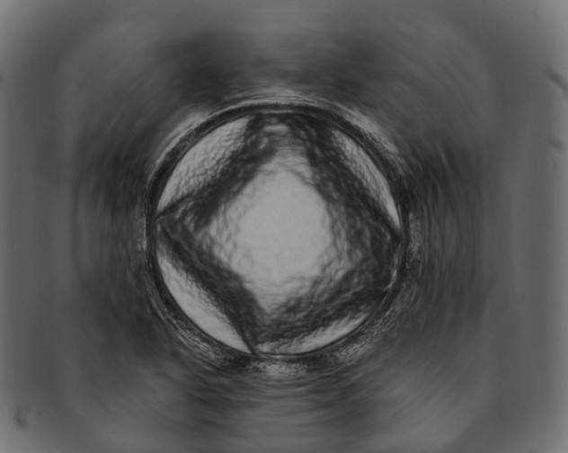 X0000091561318200709071118