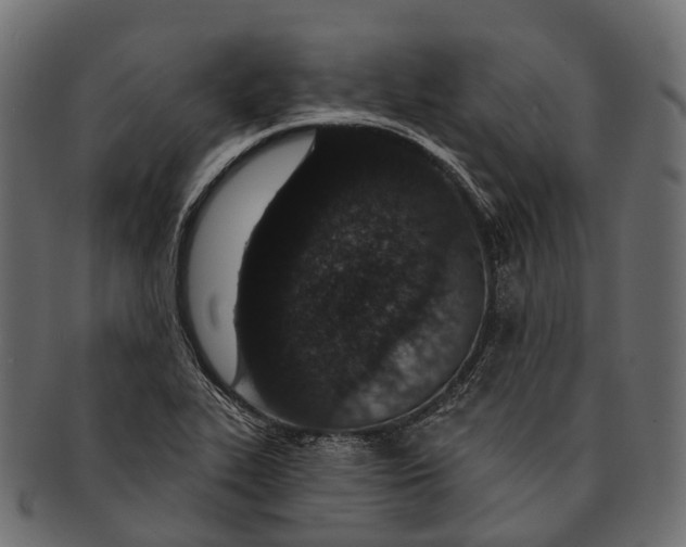 X0000091561319200709071118