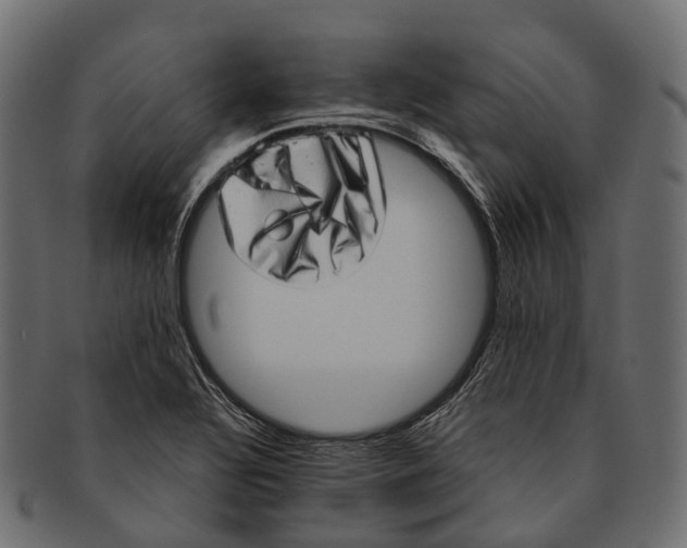 X0000091561320200709071118