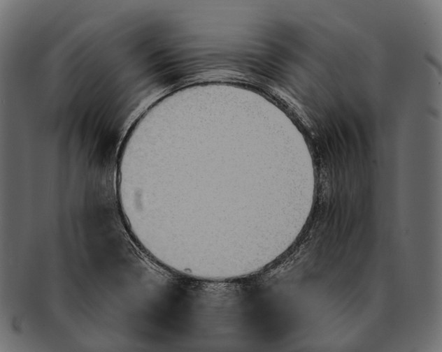 X0000091561322200709071118