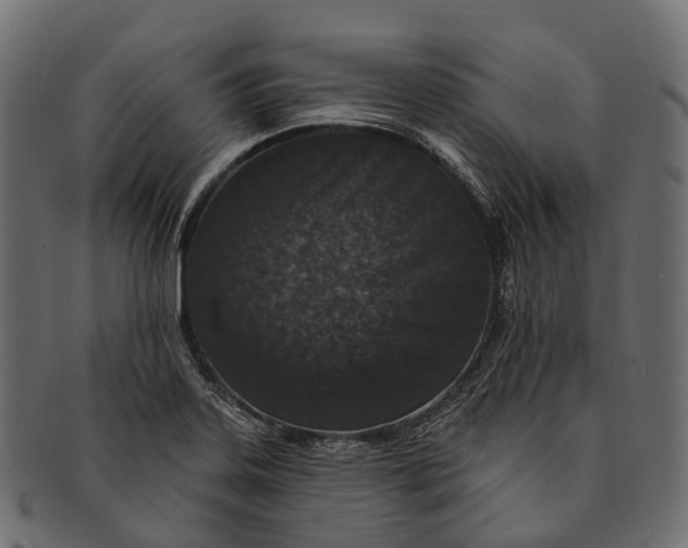 X0000091561323200709071118