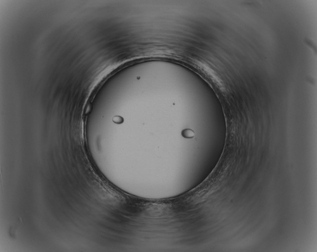 X0000091561324200709071118