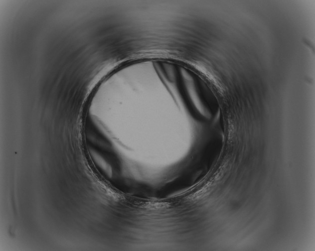 X0000091561325200709071118