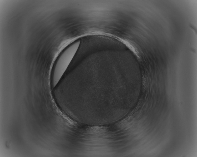 X0000091561327200709071118