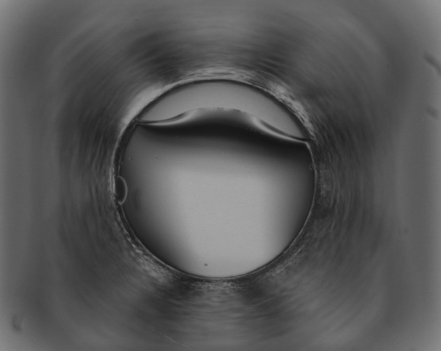 X0000091561328200709071118