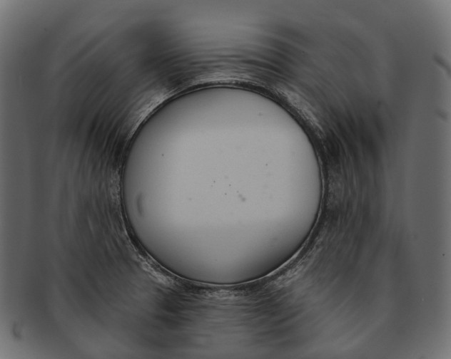 X0000091561329200709071118