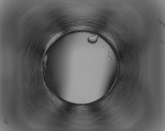 X0000091561330200709071118