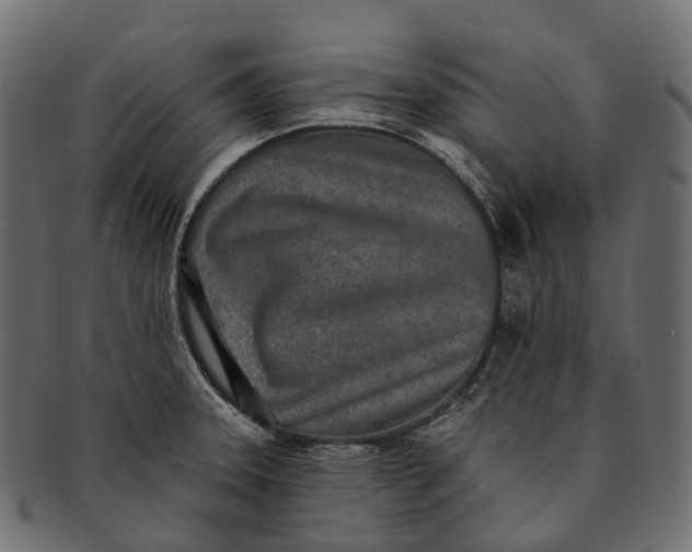 X0000091561331200709071118