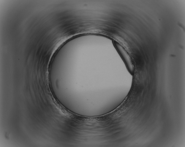 X0000091561332200709071118