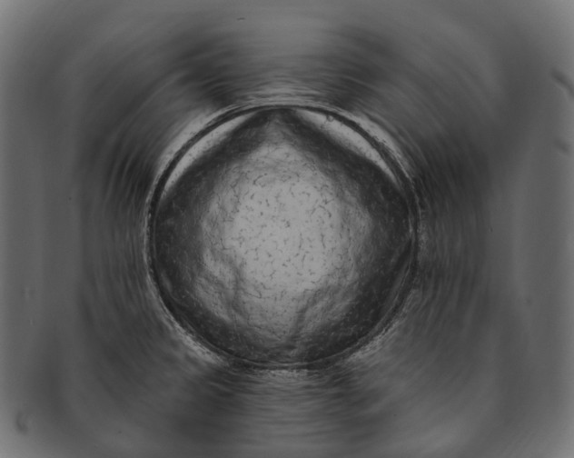 X0000091561333200709071118