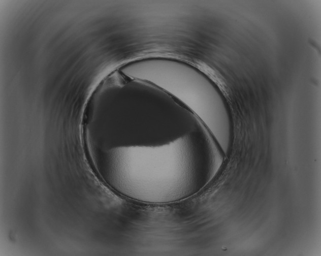 X0000091561334200709071118