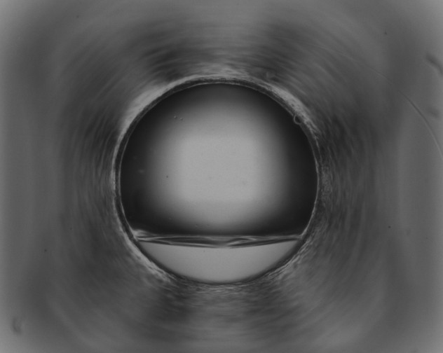 X0000091561335200709071118