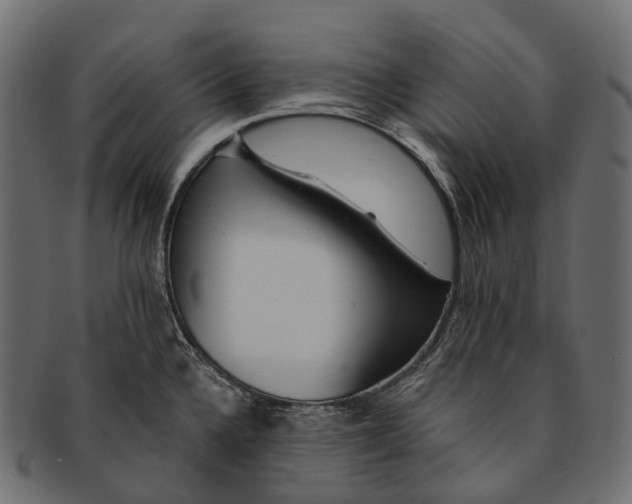 X0000091561336200709071118